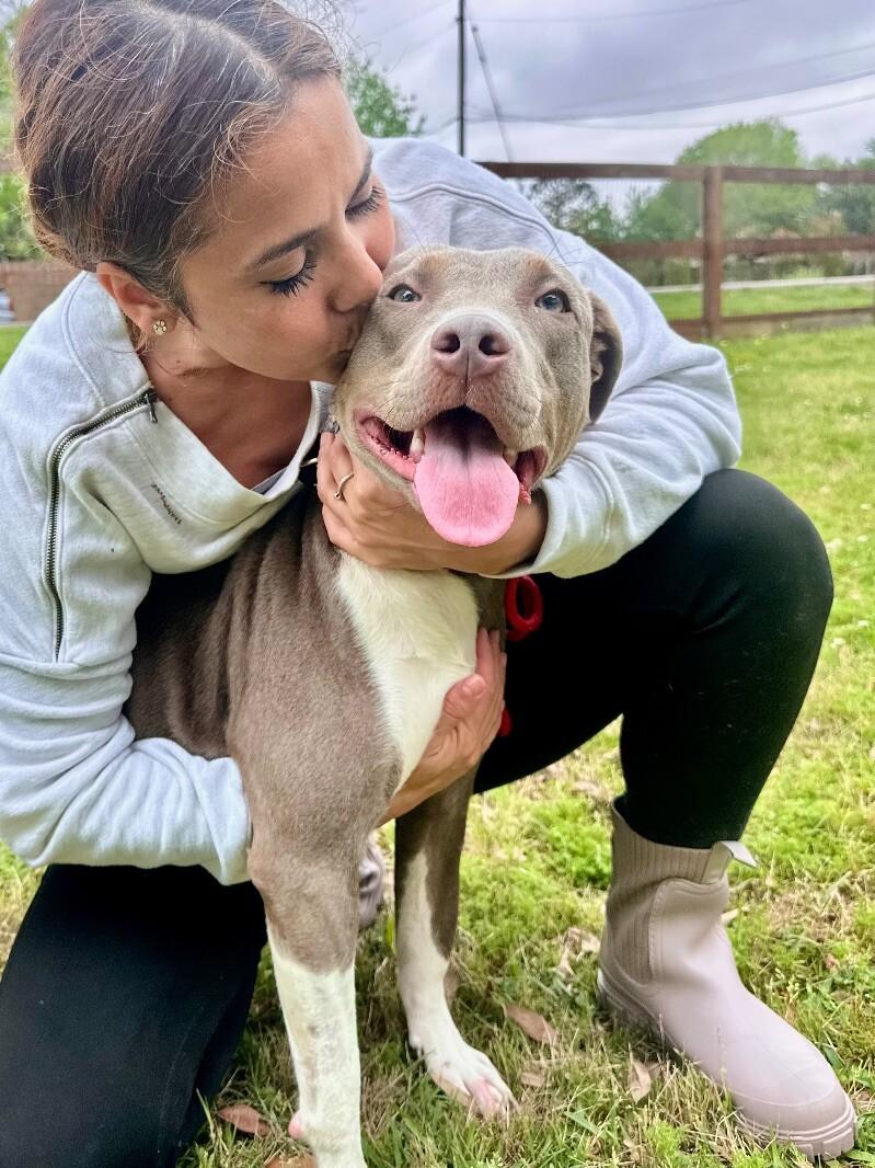 Bluebell Blueberry — thumbnail 3