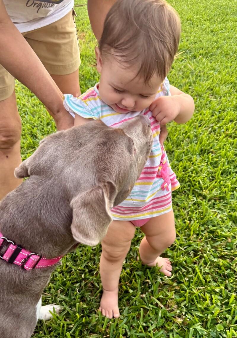 Bluebell Blueberry — thumbnail 4