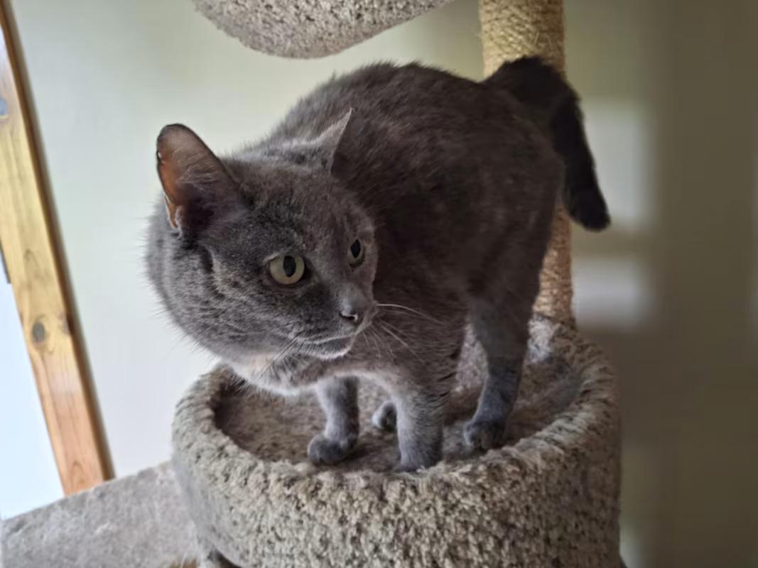 Jen  Sponsored thumbnail 2