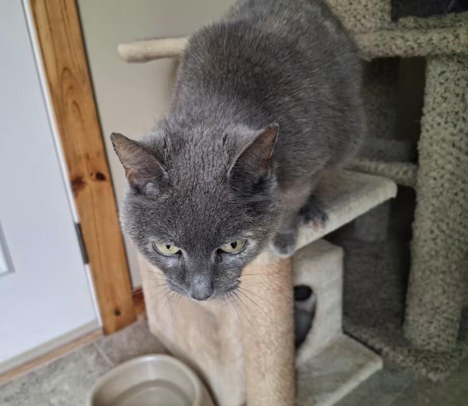 Jen  Sponsored thumbnail 4