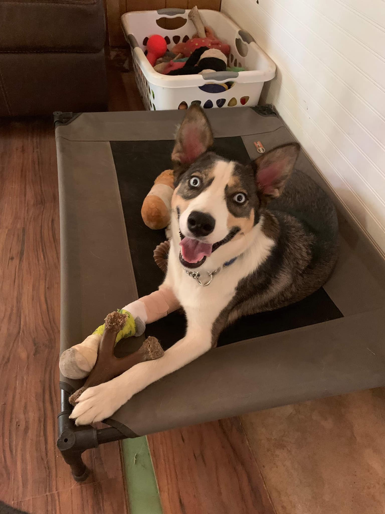 Maia Grace (20240819-02)