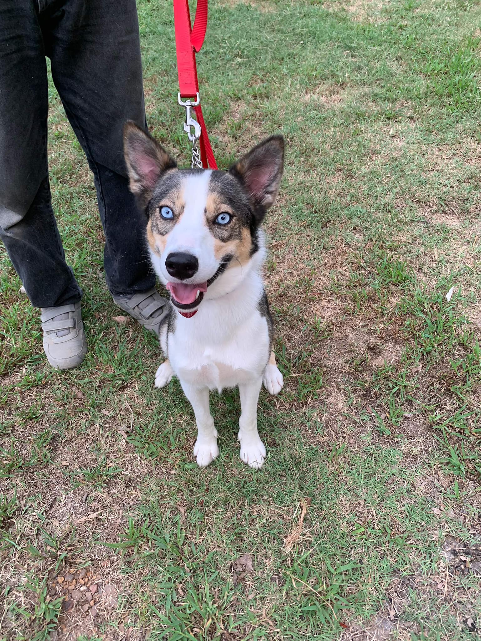 Maia Grace (20240819-02) — thumbnail 4