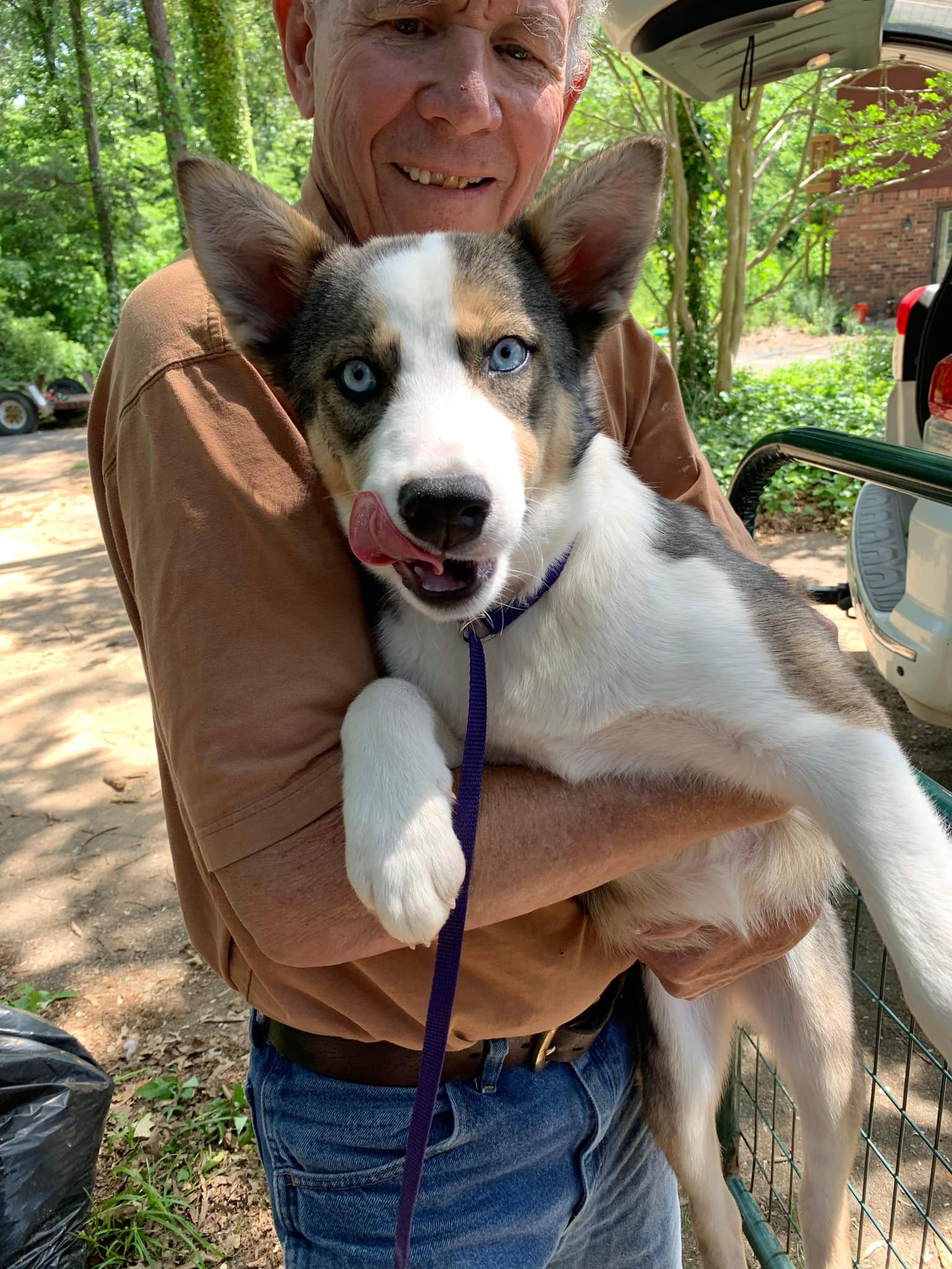 Maia Grace (20240819-02) — thumbnail 5