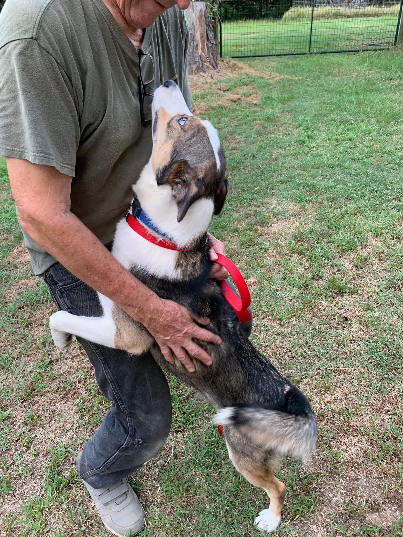 Maia Grace (20240819-02) — thumbnail 6