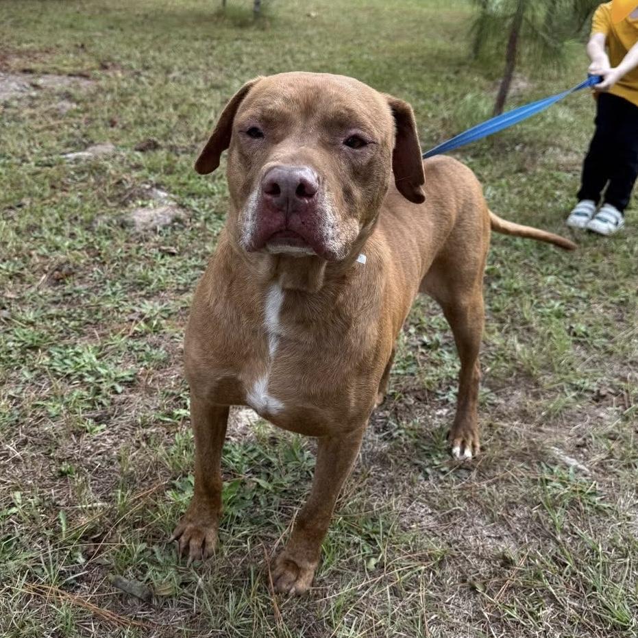 Theo — thumbnail 2