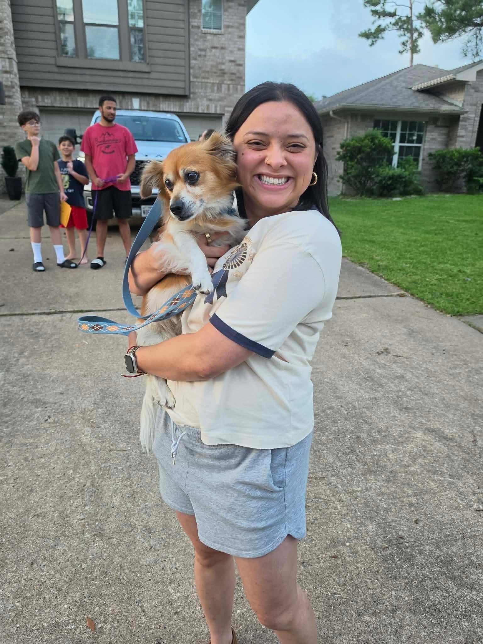 Enlarge Cowboy, an adopted mixed breed in Houston, TX image 4/6