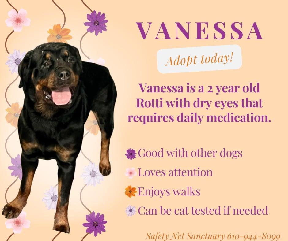 Vanessa photo 2
