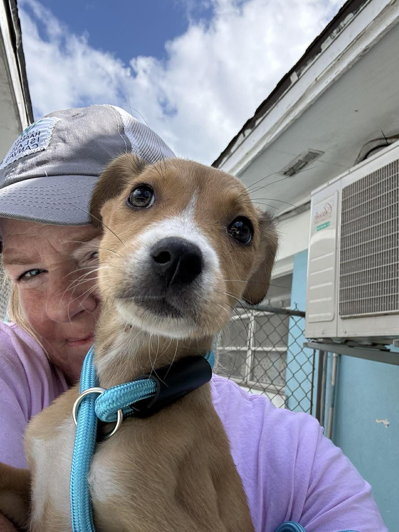 Cecilia (20260219-11) — thumbnail 2