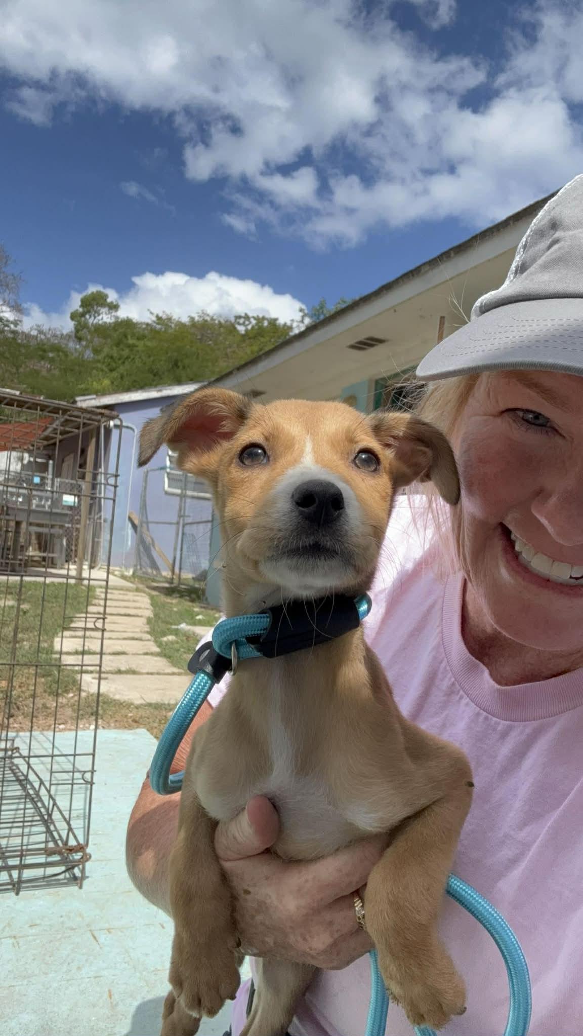 Cecilia (20260219-11) — thumbnail 3