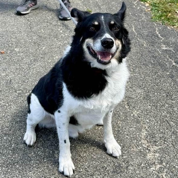Dakota