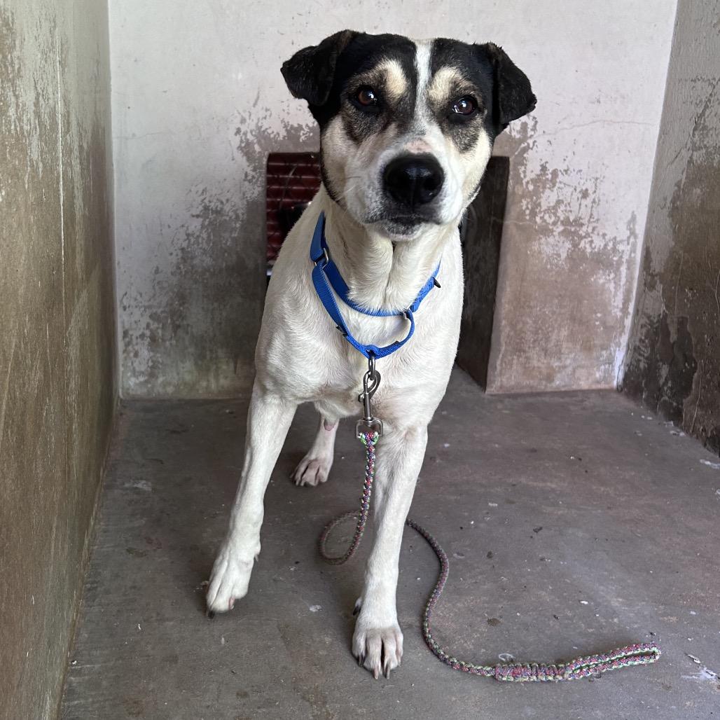 Regina George — thumbnail 2