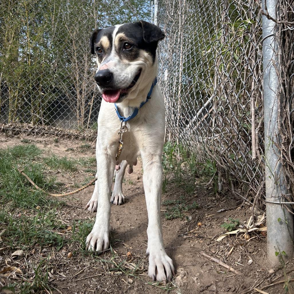 Regina George — thumbnail 3