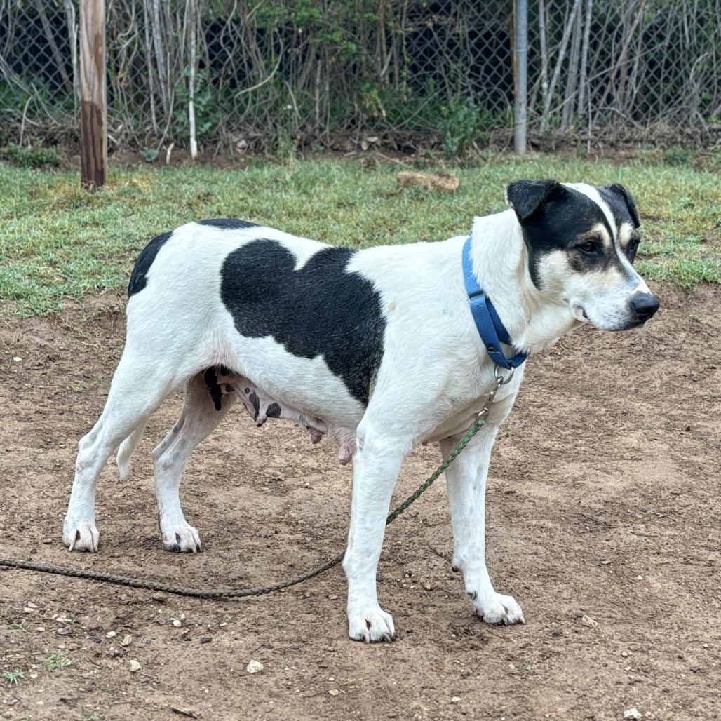 Regina George — thumbnail 4