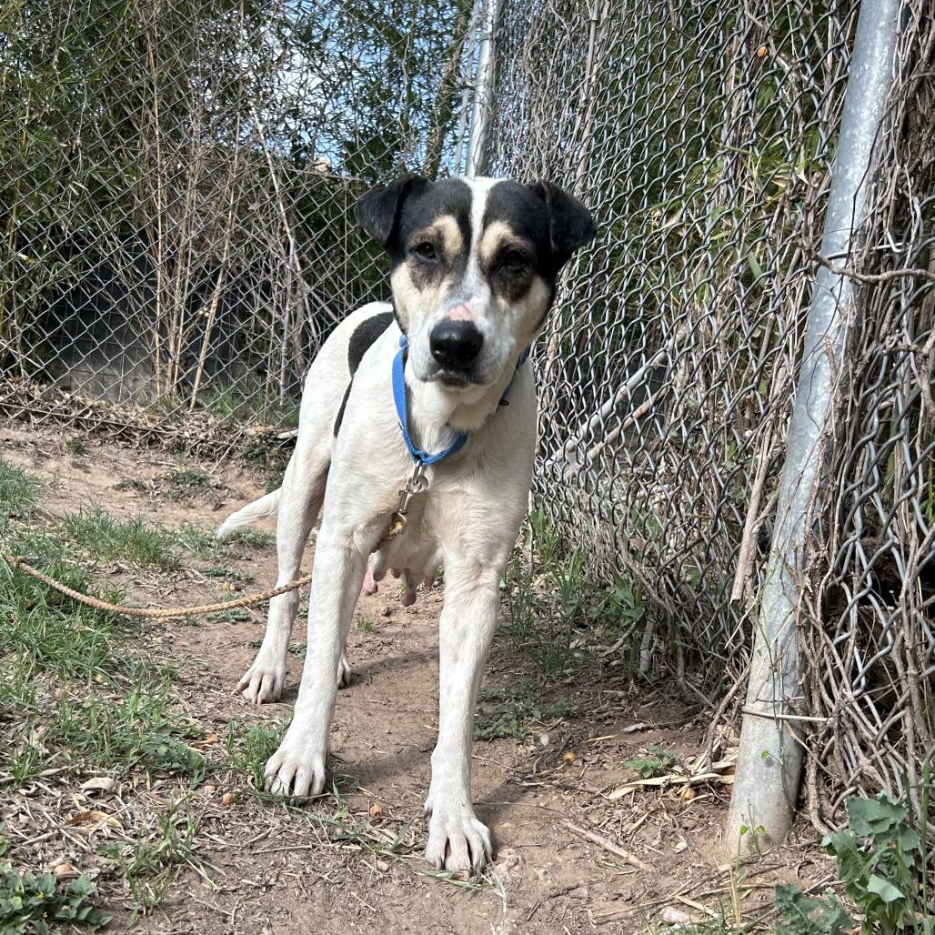 Regina George — thumbnail 5