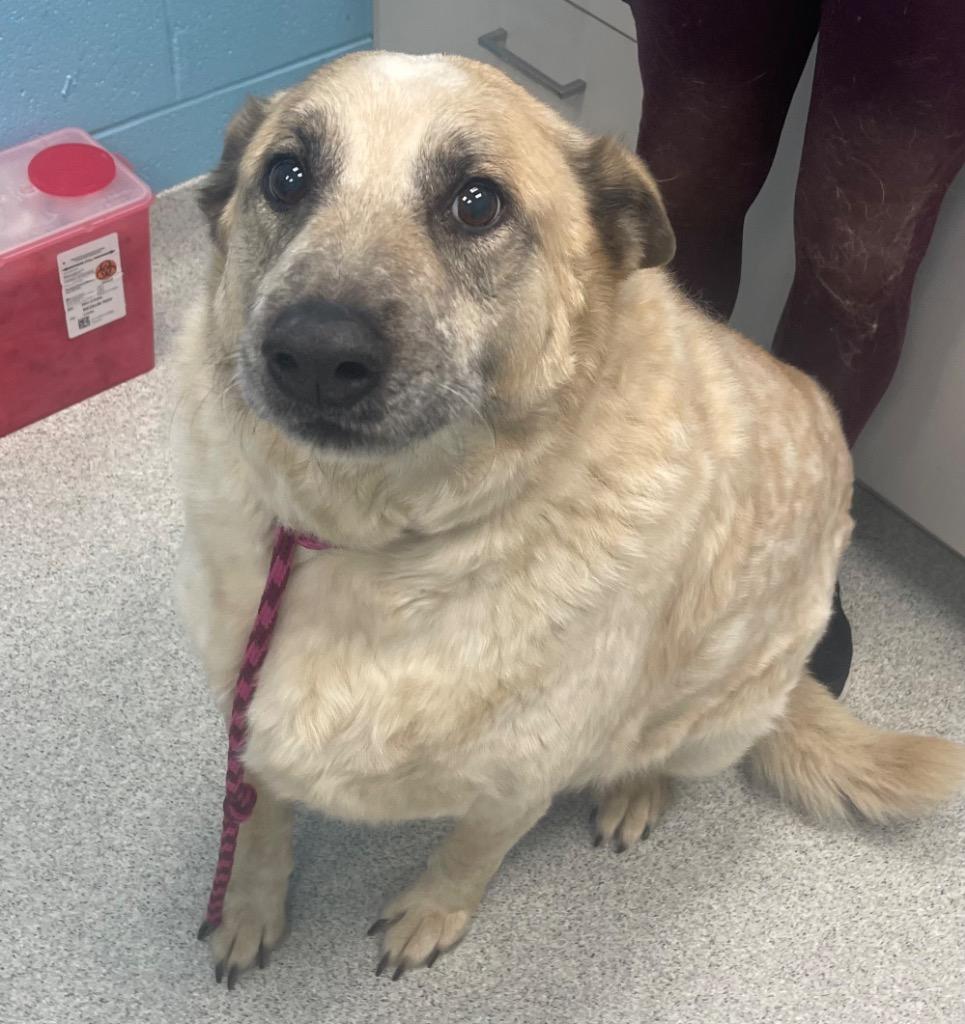 Nick — thumbnail 2