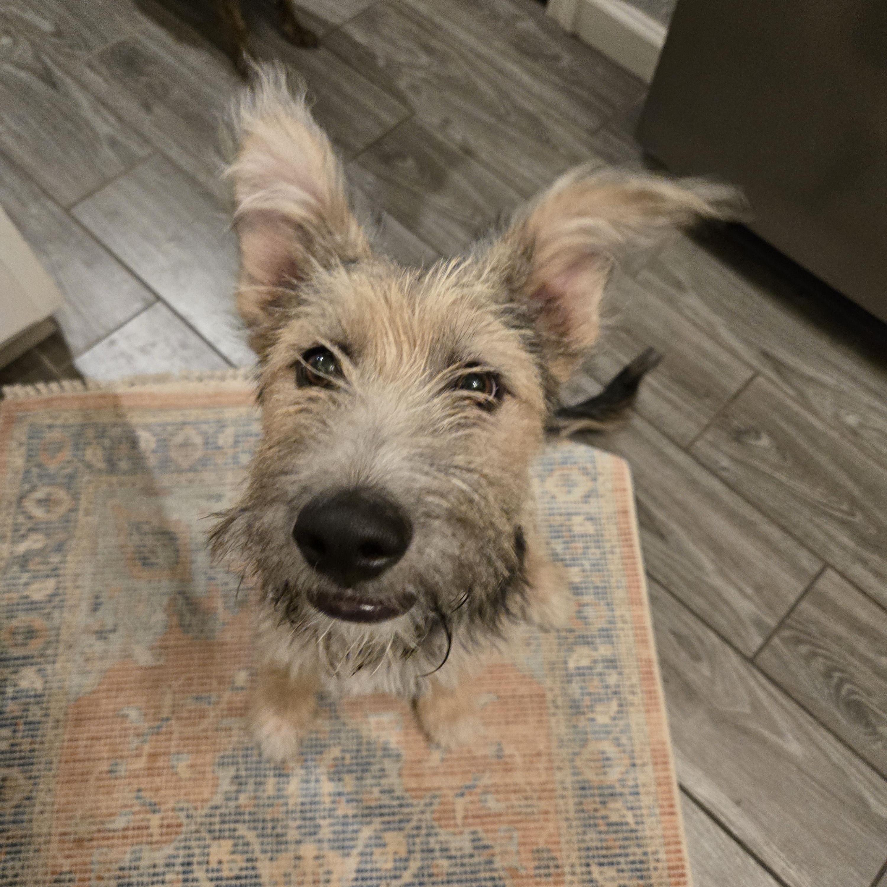 Ralph photo 2