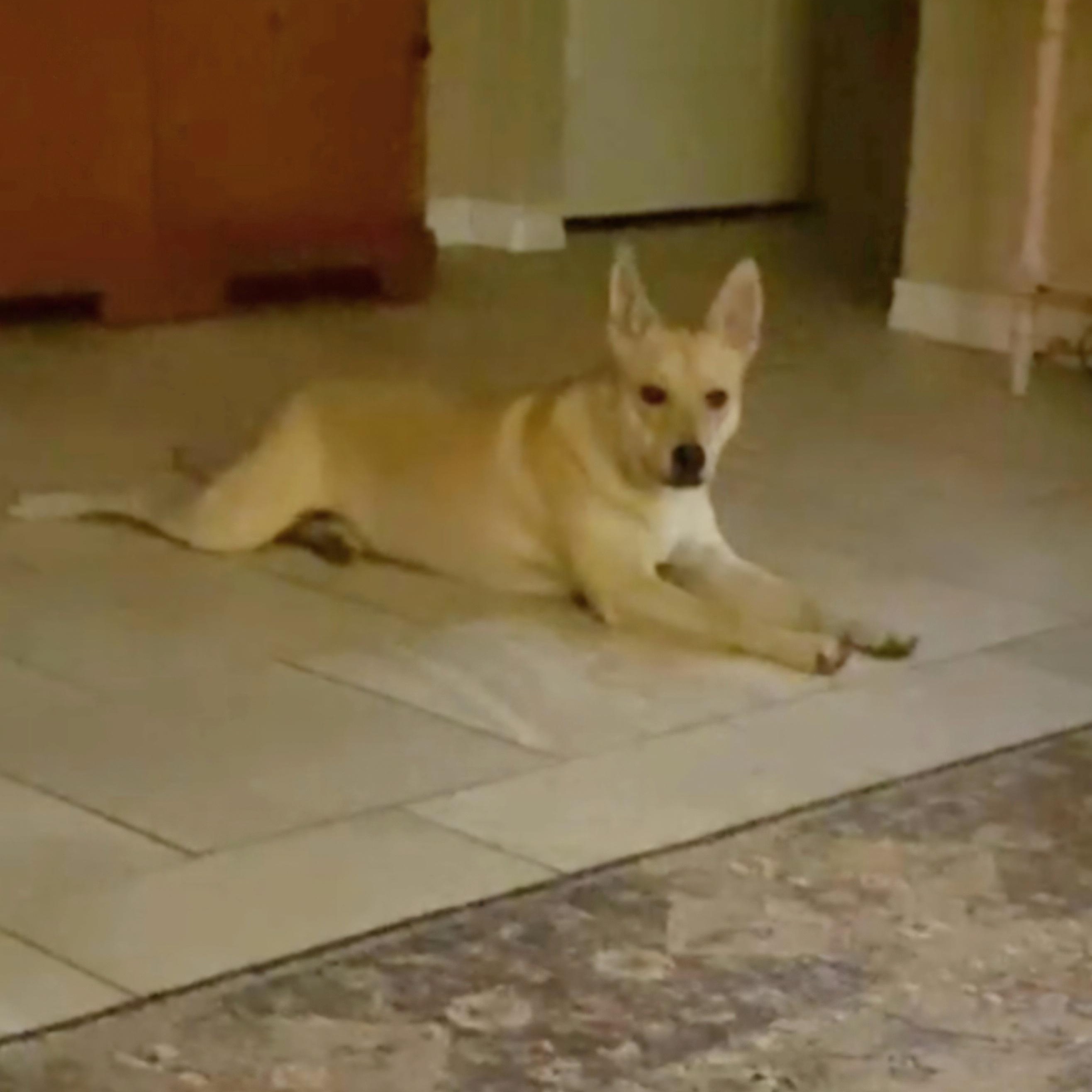 Jake — thumbnail 4