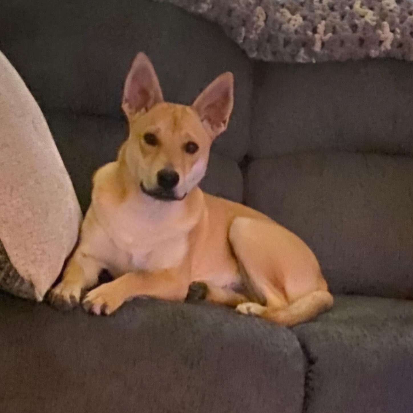 Jake — thumbnail 6