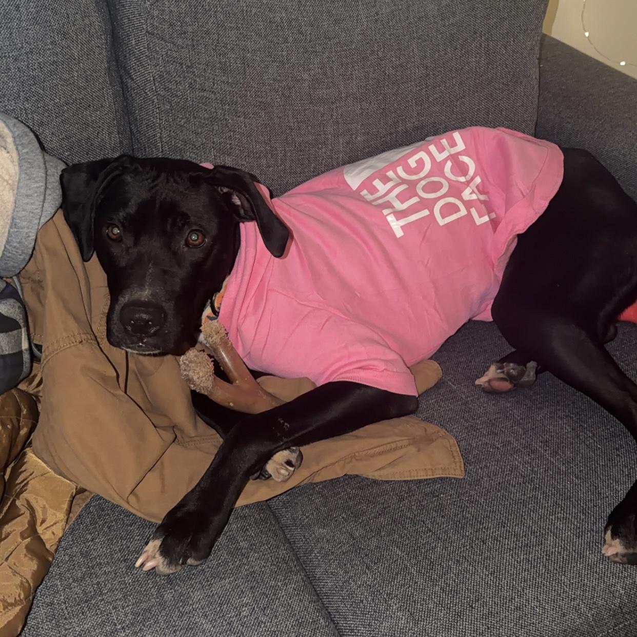 Lilo — thumbnail 4