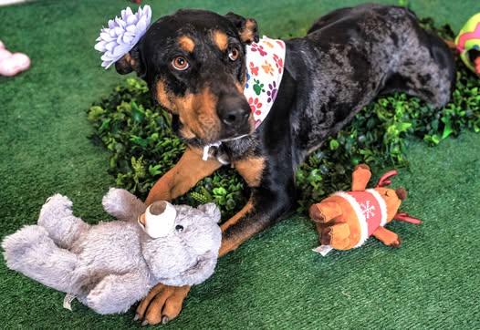 Michelle — thumbnail 3