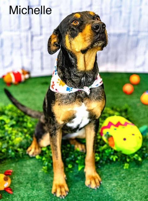 Michelle — thumbnail 4