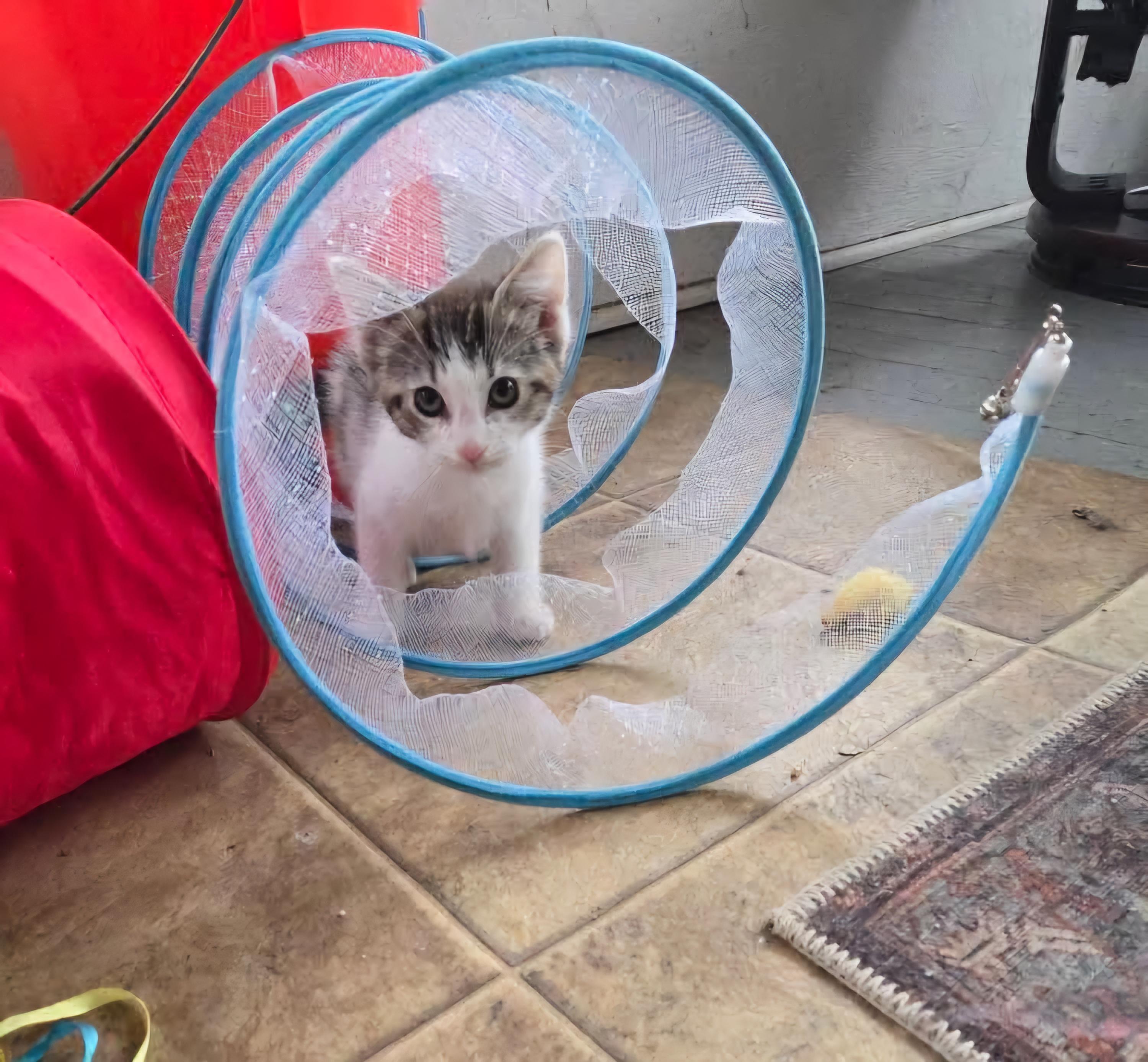 Juliette - Sweet and affectionate