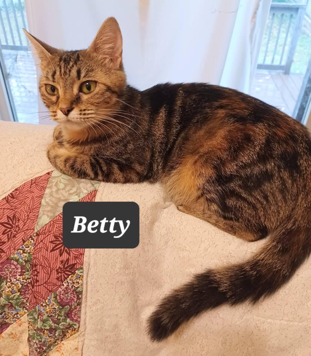 Betty - cuddly & loving