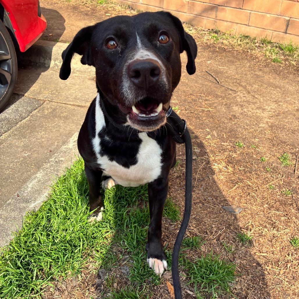 Genevieve 9303 — thumbnail 2