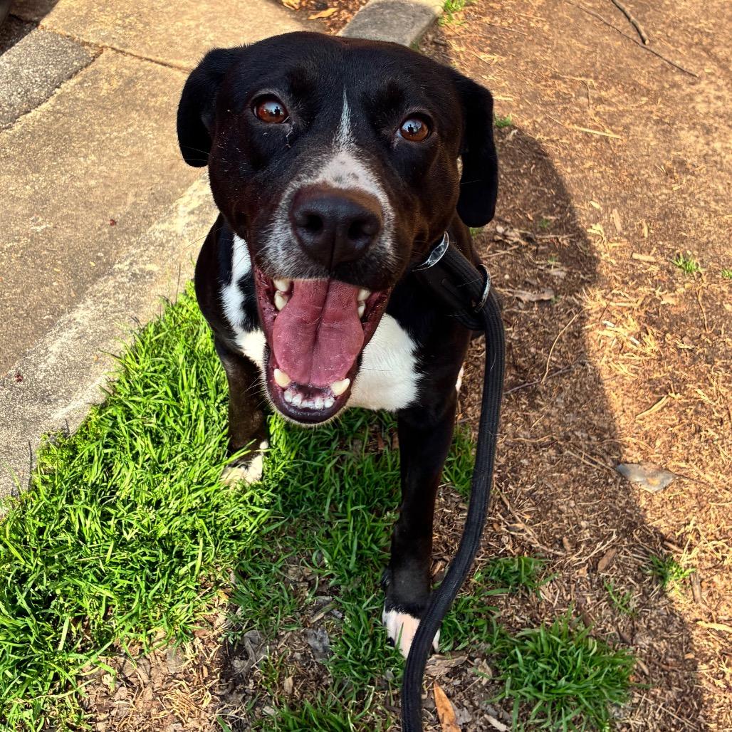 Genevieve 9303 — thumbnail 4