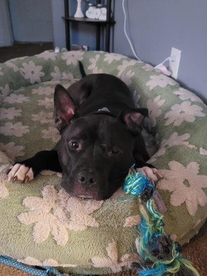 Meatloaf thumbnail 4