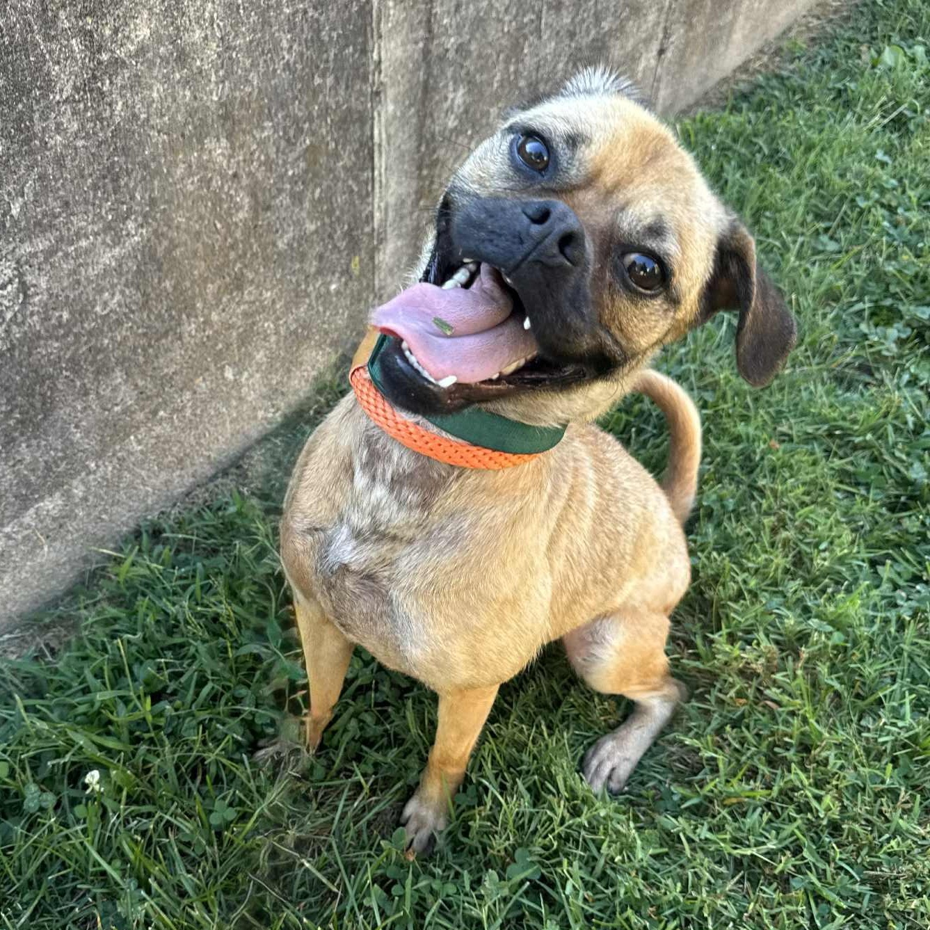 Luna