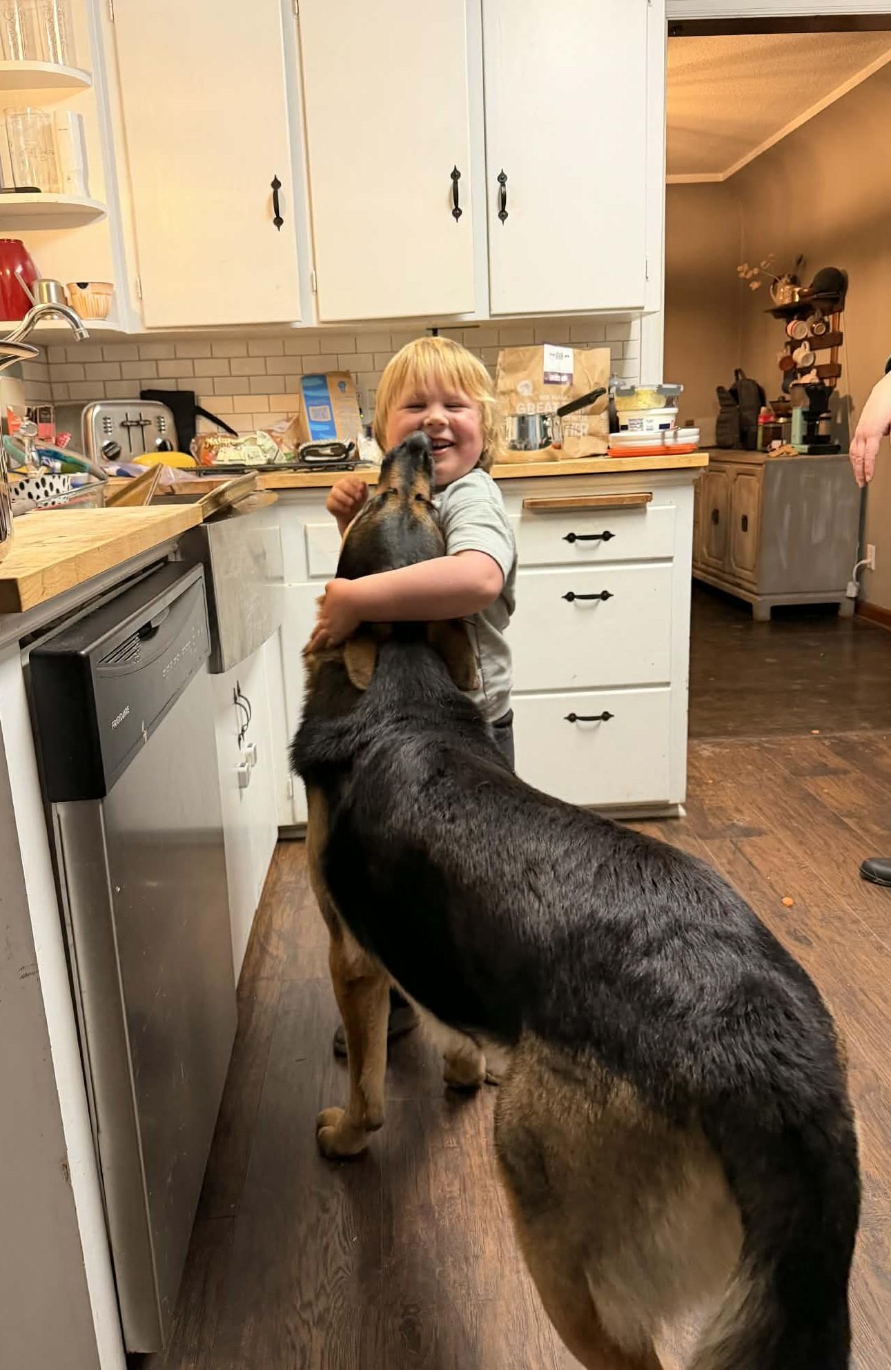 Enlarge Oscar, a ADOPTABLE mixed breed in Tacoma, WA image 3/5