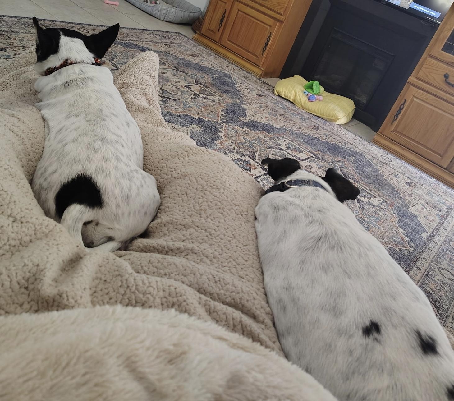 Missy & Sissy thumbnail 2