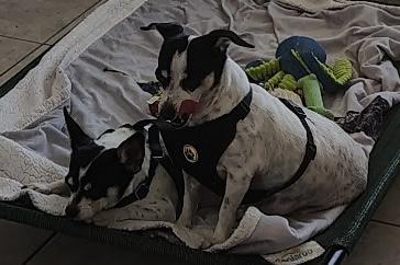 Missy & Sissy