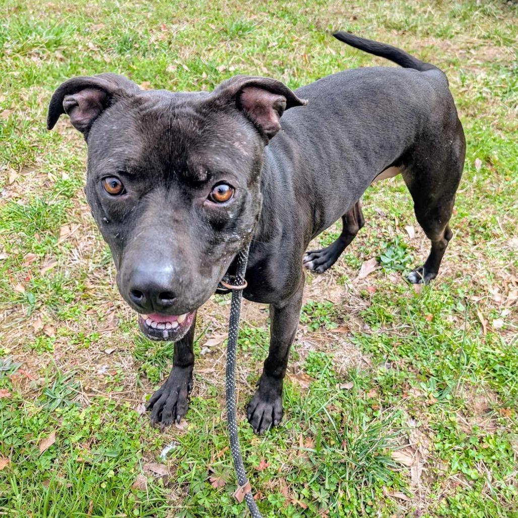 Betsy — thumbnail 3