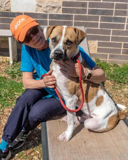 Troy (Foster) — thumbnail 3