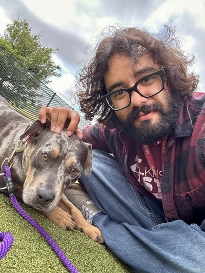 Stardew Valley, a Adoptable mixed breed in Wichita, KS image 3/3