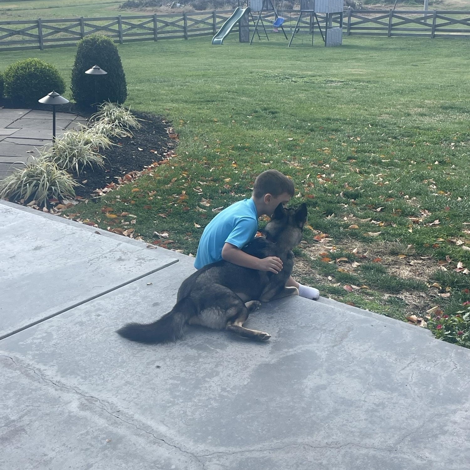 Enlarge Rebel, a ADOPTABLE mixed breed in Clarksburg, MD image 4/4