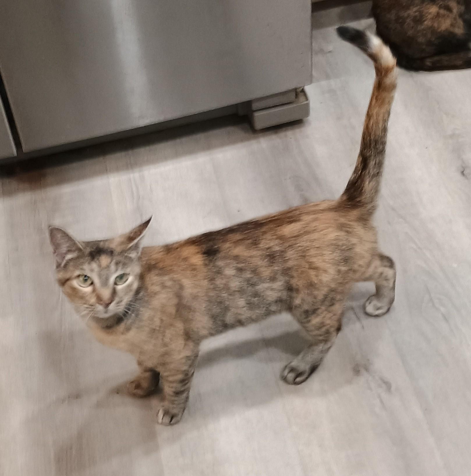 Remodel - loving & sassy