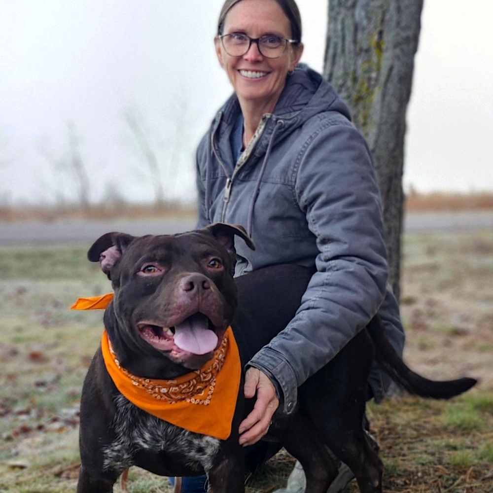 Busta, Adoptable, Adult Male Mixed Breed.