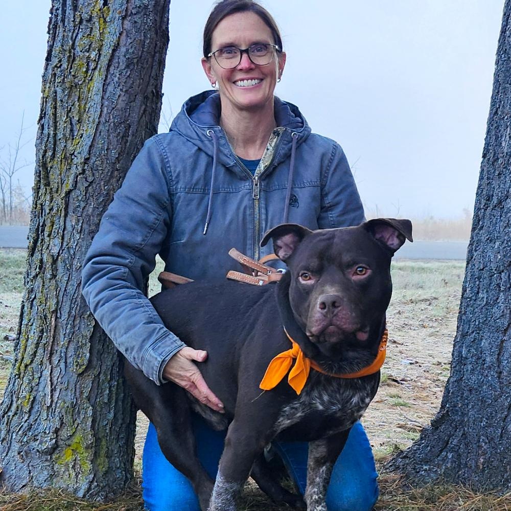 Busta, a Adoptable mixed breed in Cheboygan, MI image 2/6