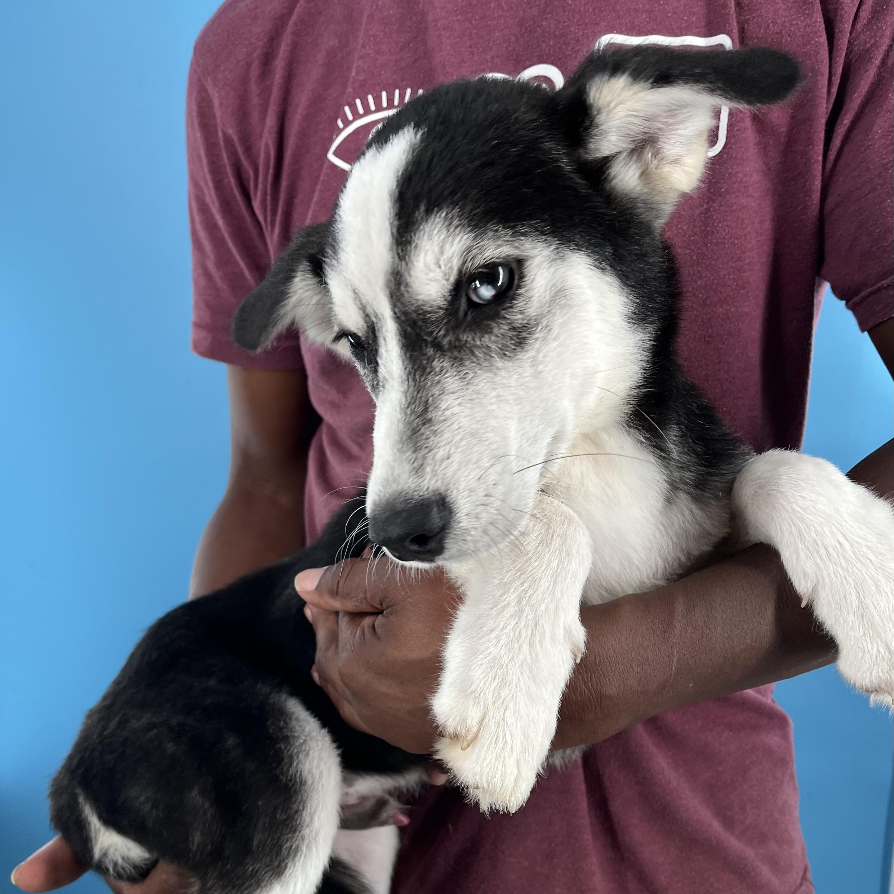 Valdor - Local Sept 26-28