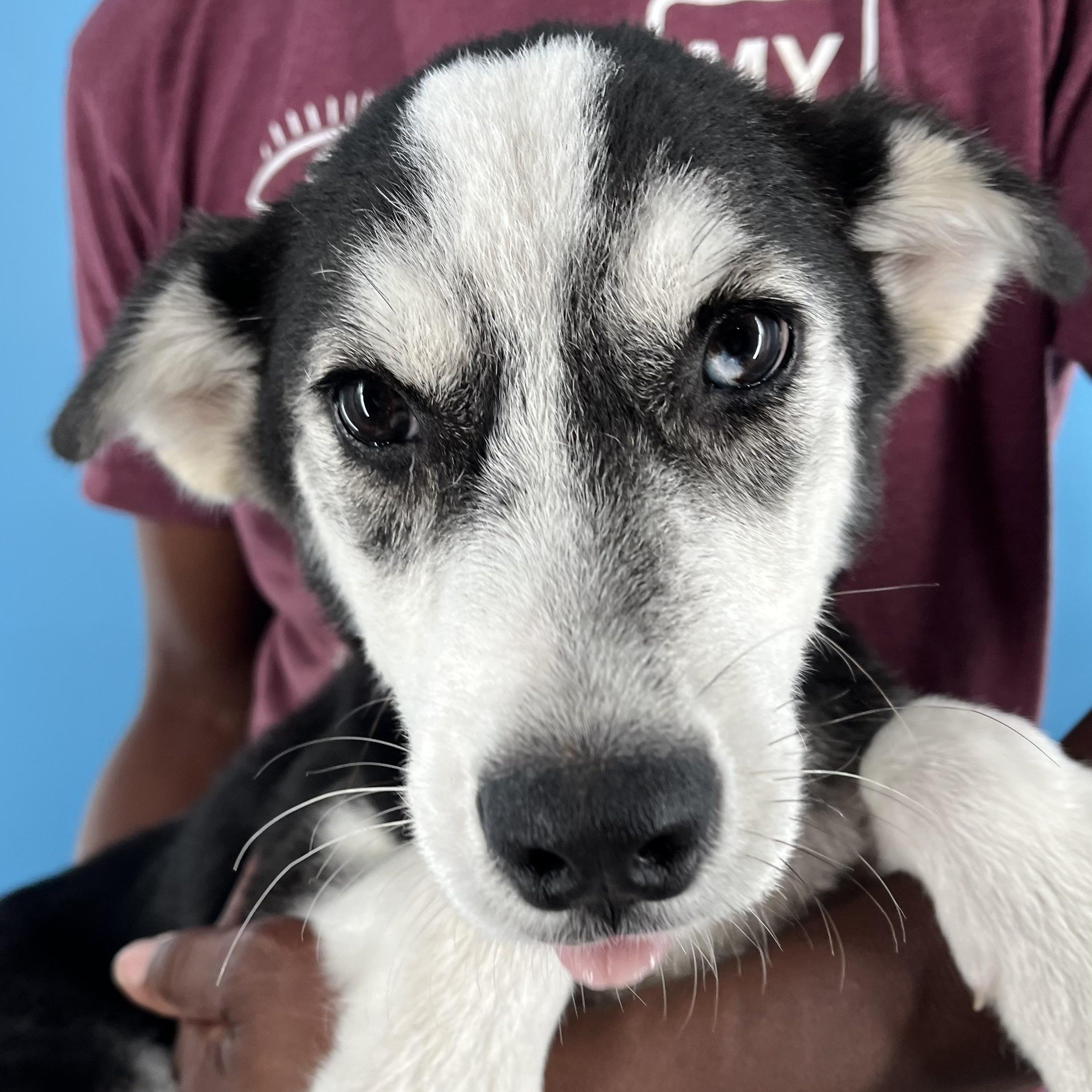 Valdor - Local Sept 26-28