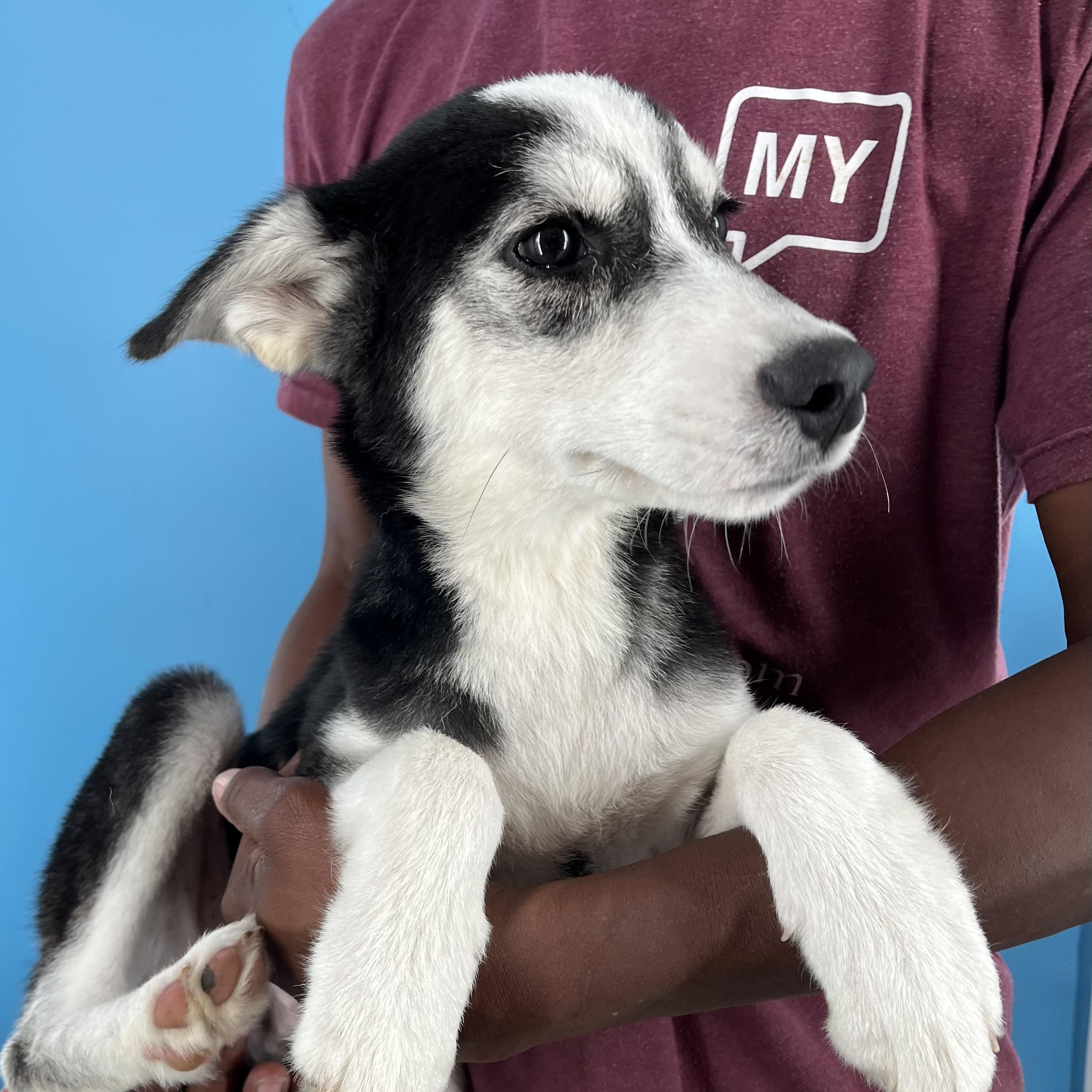 Valdor - Local Sept 26-28