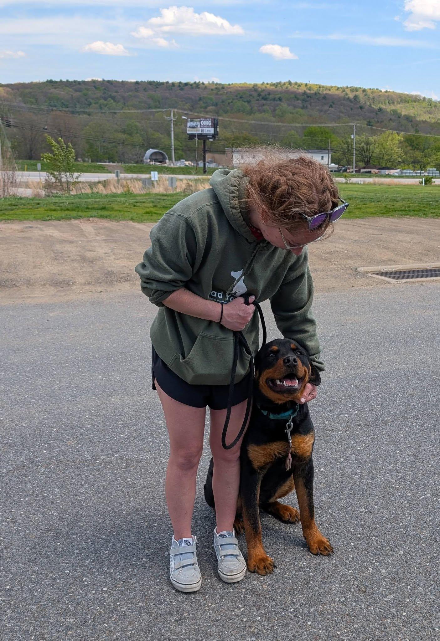 Enlarge Casey, an adoptable Rottweiler in Perkasie, PA image 2/6