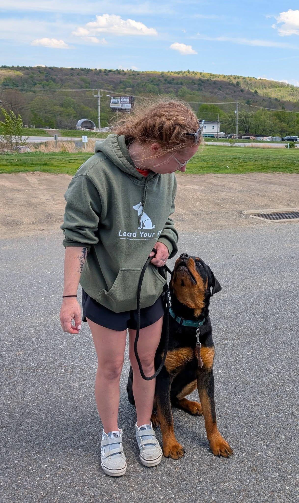 Enlarge Casey, an adoptable Rottweiler in Perkasie, PA image 3/6