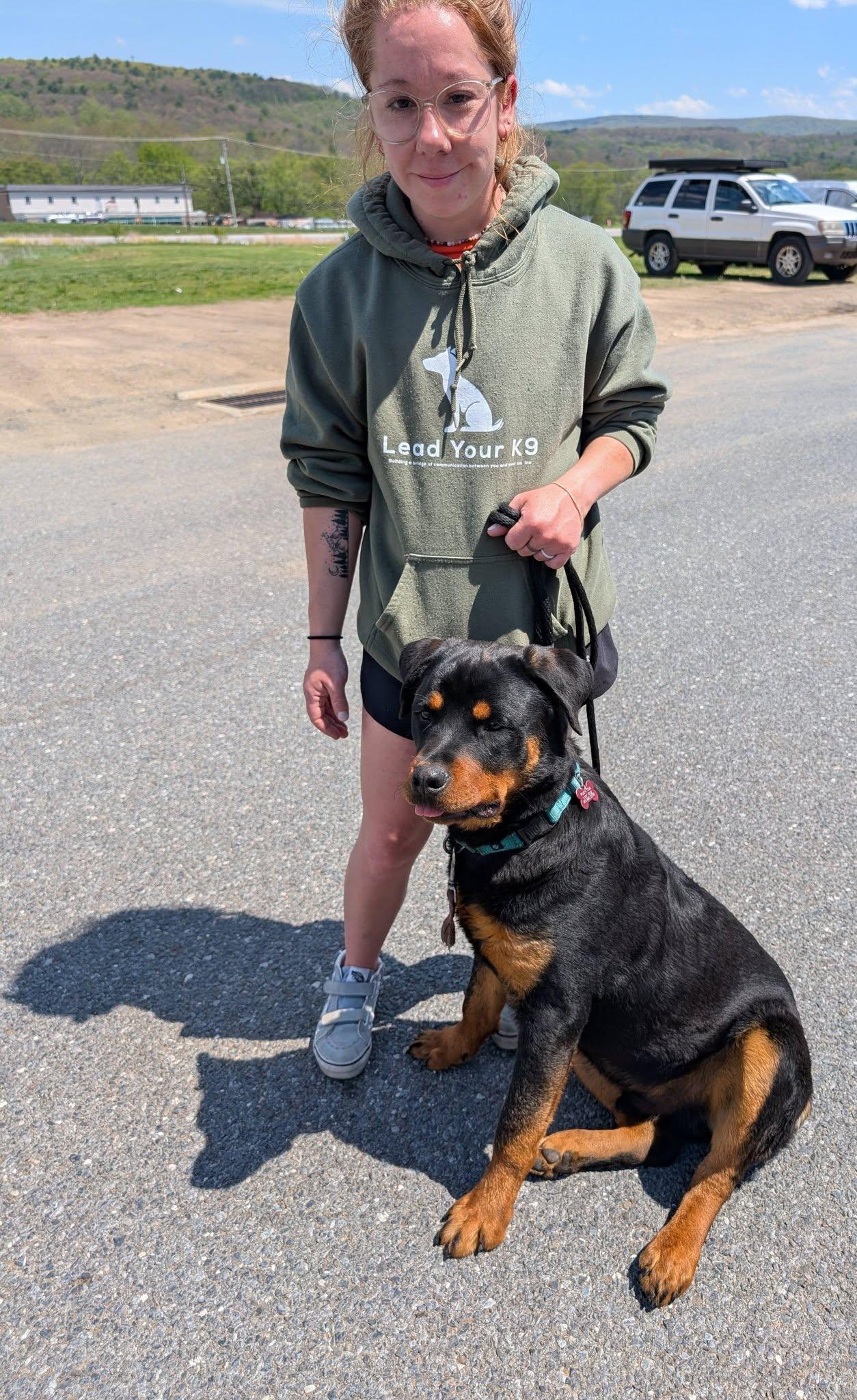 Enlarge Casey, an adoptable Rottweiler in Perkasie, PA image 4/6