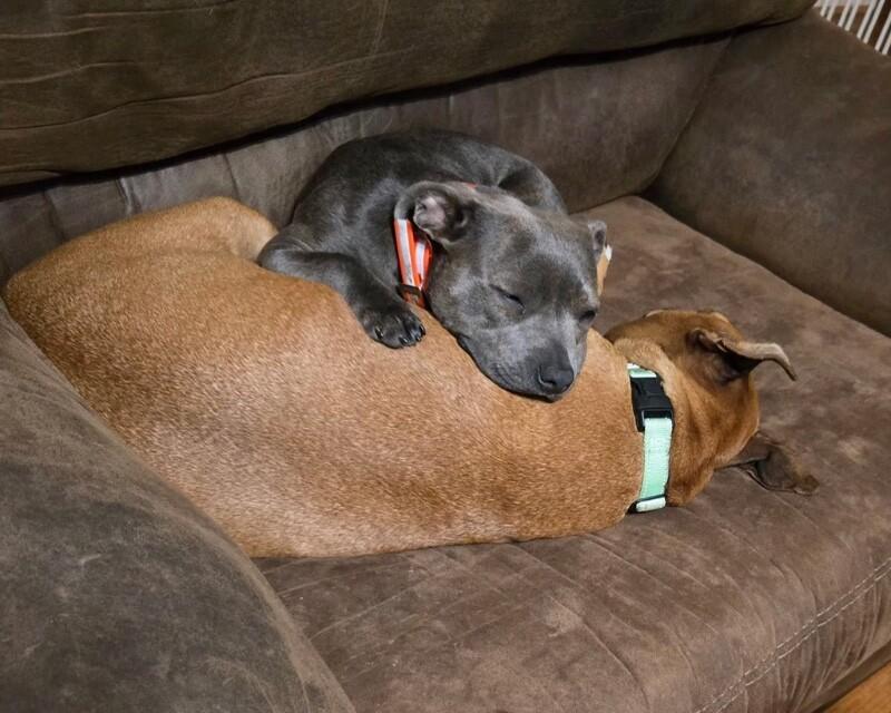 Lemon CAKE — thumbnail 3