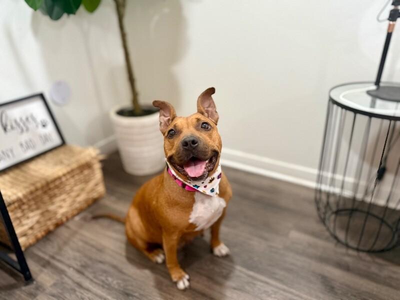 Lemon CAKE — thumbnail 4