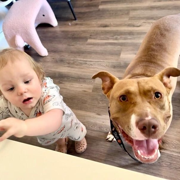 Blinky Baby loves the babies and belly rubs
